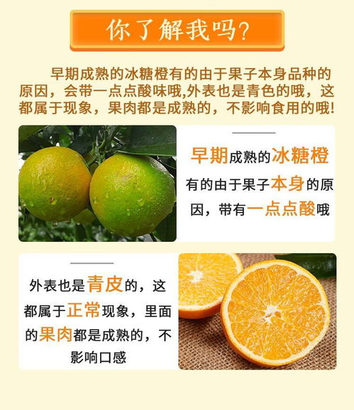 甜蜜柚惑與橙香四溢 當(dāng)季水果的交響盛宴